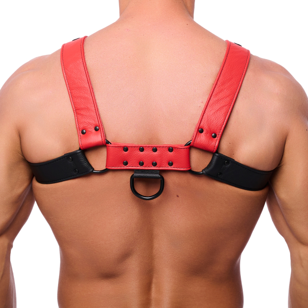 Snap Leather Harness Black-Red