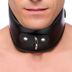 Leather holding collar