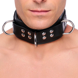 The Red Padded Leather Collar with Black D-Rings