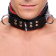 Padded leather collar with 3 D-rings Red