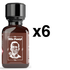 BGP Leather Cleaner ELIX Pentyl 24ml x6