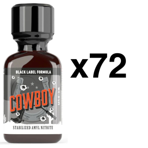 BGP Leather Cleaner COWBOY BLACK LABEL 24ml x72