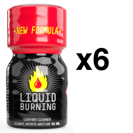 LIQUID BURNING 10ml x6