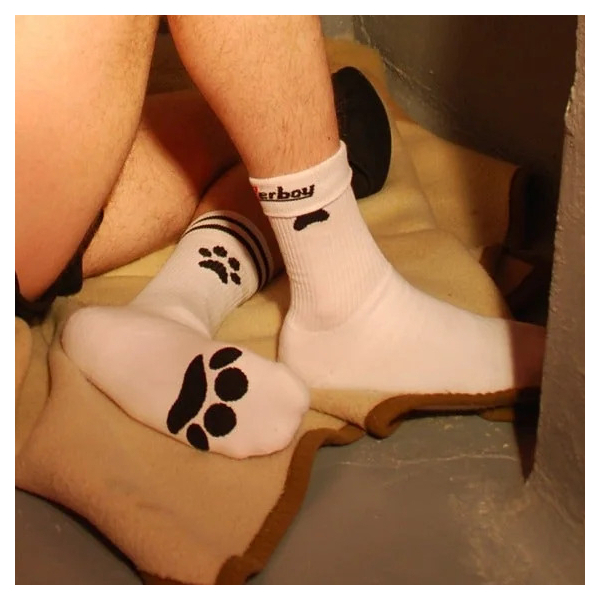 Chaussettes Socks PUPPY Sk8terboy