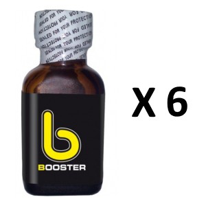 FL Leather Cleaner Booster 25mL x6