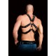 Andreas Ouch Harness