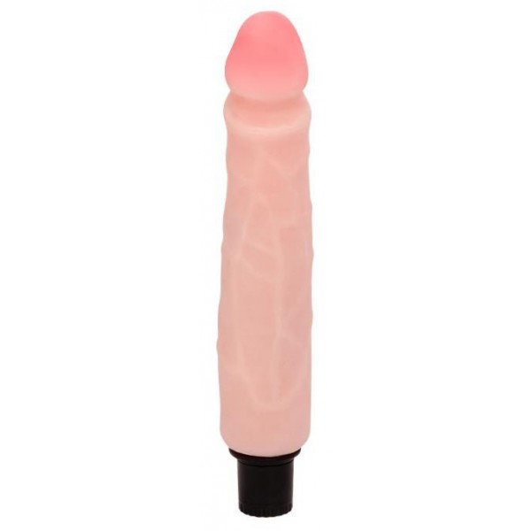 Dildo vibrante Realistic Vibe 22 x 4 cm