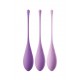 Kit de treino Kegel Violet