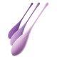 Kit d'entrainement Kegel Violet