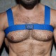 AD FETISH Basic Elastic Harness Blue