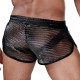 ROMAN Shorts Black