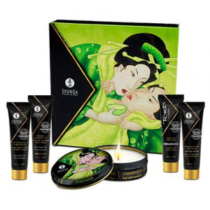 Shunga Secret de Geisha Set - Exotische Groene Thee