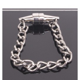Magnetic clamp for nipple with chain
