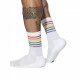 ADDICTED RAINBOW SOCKS C01