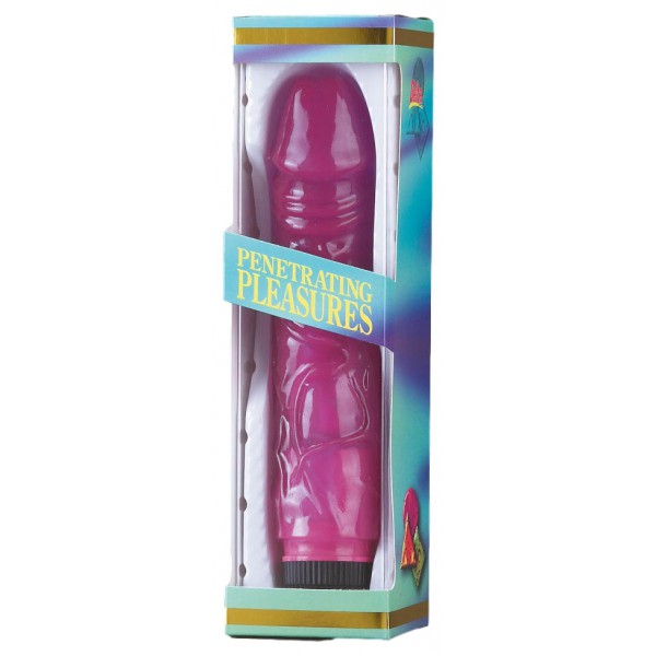 Dildo vibrante Jelly Vibrator Violet 19 x 4,6 cm